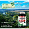 Pure Lab - Chlorophyll - pure - 800 mg per