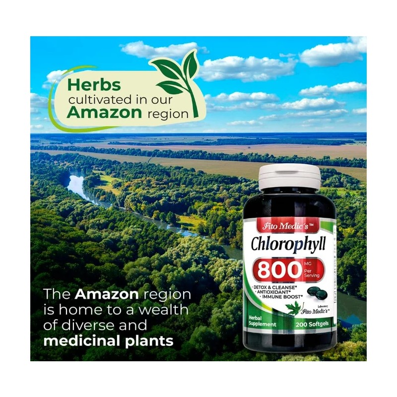 Pure Lab - Chlorophyll - pure - 800 mg per