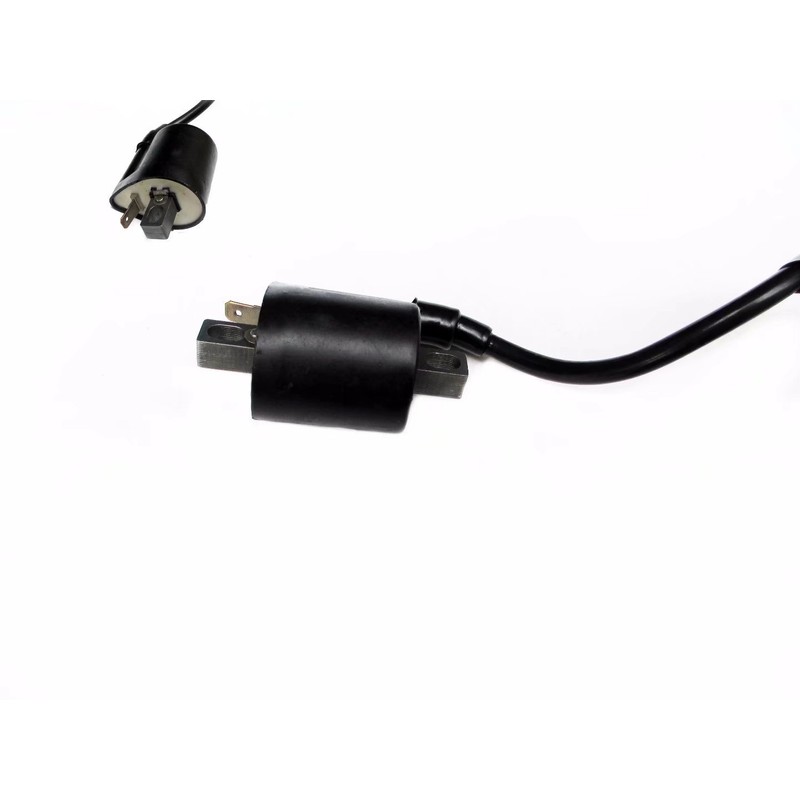 Ignition Coil for Yamaha Grizzly YFM660 YFM 660 2002 2003