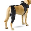 Petpanm- Adjustable Dog Knee Brace- Right Hind Leg with Integreted