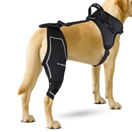 Petpanm- Adjustable Dog Knee Brace- Right Hind Leg with Integreted Harness- Premium Support for Torn ACL, Sprains & Strains Recovery, Enhances Mobility, Comfortable Neoprene- (Small)