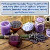 STAFECO® LAVENDER Top Grade Dried Flowers Bugs Sachet harvest time