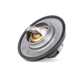 RIDEX Thermostat + Gasket