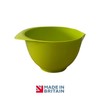 Mixing Bowl with spout and Handle | Set of 3