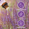 Sedbuwza Lavender Eucalyptus Essential Oil Set for Aromatherapy
