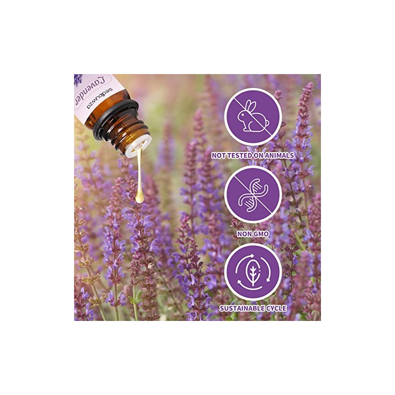 Sedbuwza Lavender Eucalyptus Essential Oil Set for Aromatherapy