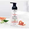 J R Watkins Foaming Grapefruit Hand Soap(9 Oz)