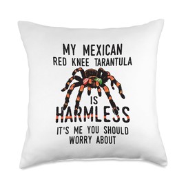 Spider Lover Arachnid Cobweb Terrarium Tarantula Throw Pillow
