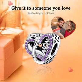 Rimgoris 925 Sterling Silver Charm for Women Bracelets Necklace Mothers Day Heart Ruby Stars and Moon Mother Daughter Portrait Friendship Mom Infinity Love of Life Family Engraved Charm, Silver, Cubic