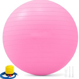 Static Resistance Pilates Ball with Pump for Stability Exercises, Large Yoga Ball, Exercise Ball Sport Balance Anti-Burst Equipment 65 cm Diameter, Pink