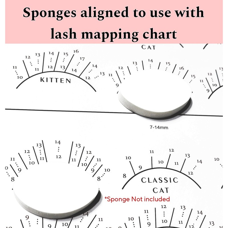 LEES A.M. 1 PC Lash Mapping Chart Eyelash Extension Beginner