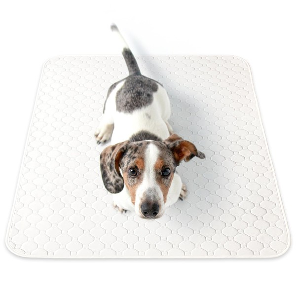 Inulabo Washable Pet Sheets, Super Wide Size, Pets Mat, Fully Washable, Reusable (Notice Changes in Health Condition) (Super Wide (Set of 2), White)