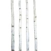 Four Thin White Birch Poles 6 ft