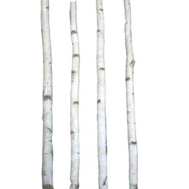 Four Thin White Birch Poles 6 ft