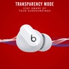 Beats Beats Studio Buds - True Wireless Noise Cancelling Earphones