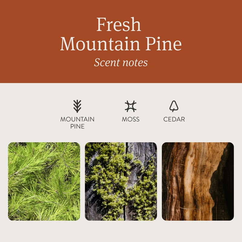 Drift Car Air Freshener - Wood Fragrance - Automotive Odor