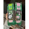 Phuc Long TRA PHUC LONG SET OF TWO