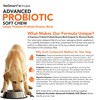 Advanced Probiotic Soft Chews for Dogs - Veterinarian-Strength Probiotic Support