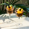 Viski Nick and Nora Glasses, Stemmed Drinkware, Premium Crystal Cocktail