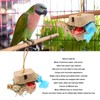 Bird Foraging Box Toys Fun Colorful Shredding Paper Sola Wood