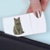 Azeeda 'Alert British Shorthair Cat' Pill Box with Tablet Splitter