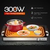 22 X 14 Inch Electric Warming Tray Hot Plate Dish