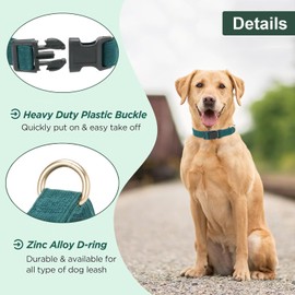 Petiry Comfortable Dog Collar Medium,Gentle on Skin,Durable Plastic Buckle, for Male Dogs,Dark Green,M