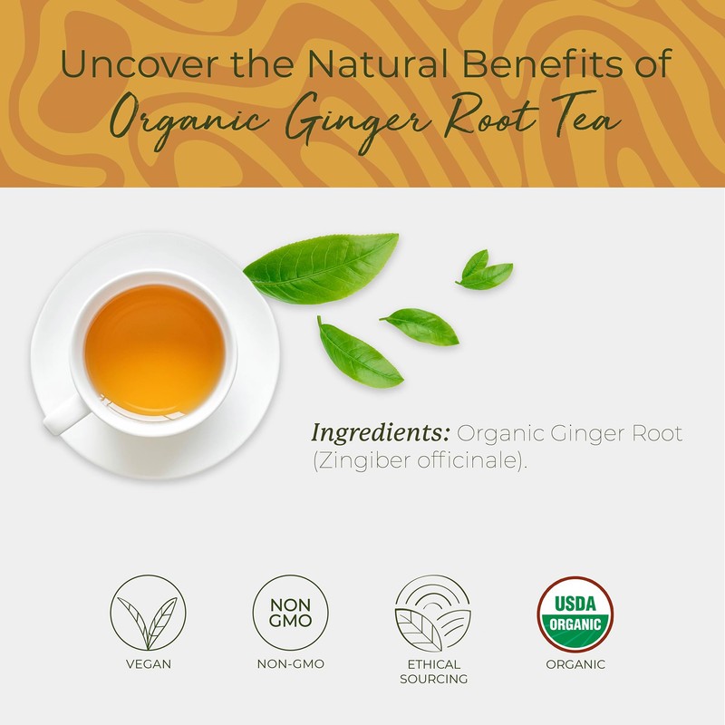 Starwest Botanicals Organic Ginger Root Tea - Caffeine Free Herbal