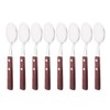 Teaspoons Set of 8, 304 Stainless Steel Dessert Spoons with