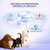 Aceite De Salmón Omega 3 Y 6 Para Perros Y