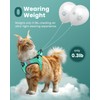 FAYOGOO Escape Proof Cat Harness and Leash Set for Walking,