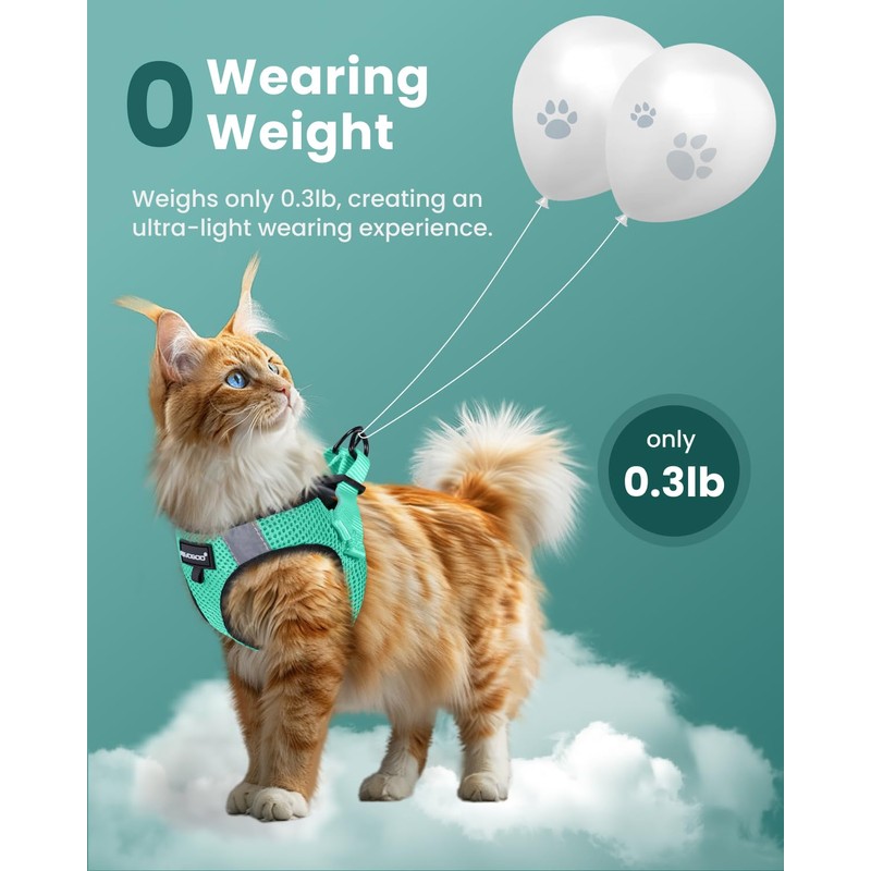 FAYOGOO Escape Proof Cat Harness and Leash Set for Walking,