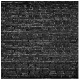 AIIKES 8x8FT Brick Backdrop Black Brick Wall Photography Backdrop Vintage Theme Stone Brick Design Photography Backdrop Baby Birthday Party Decoration Photo Booth Studio Prop 11-501