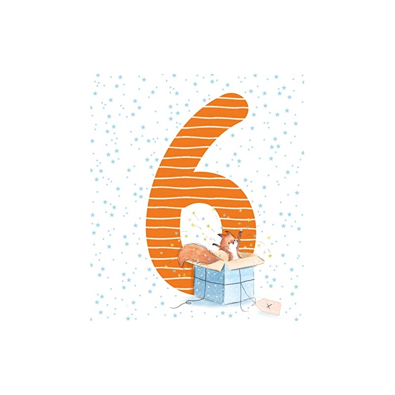 Cute/Fun Boys 6th Birthday Card -Quality Card with foil detailing