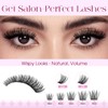 Wendy Lash Clusters Kit Packs: 784Pcs Individual Eyelashes for DIY