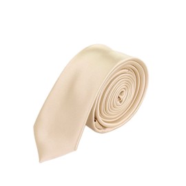 Premium Classic Solid Color 2" Skinny Necktie Neck Tie, Beige