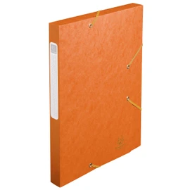 Exacompta 18517H Premium Collection Box with Elastic Band, 25 mm Wide, Made of Extra Strong Colorspan Cardboard with Spine Label for DIN A4, Archive Box, File Box, Document Box, Drawing Box, Portfolio