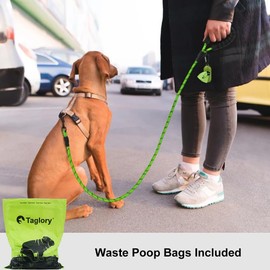 Taglory Rope Dog Lead with Soft Padded Handle, 1.2 m Reflective Lead and Multi-Colour for Small Dogs, 1.0 cm, Green