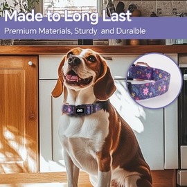 QQPETS Reflective Dog Collar for Medium Dogs，Pretty Flowers Theme Adjustable Heavy Duty Nylon Collar for Girl Puppy，Soft Pet Necklace with Quick Release Buckle, Purple