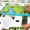 Dekori Hydroponic Growing Sponge, Vegetable Planting Sponge, Hydroponic Cultivator, 300