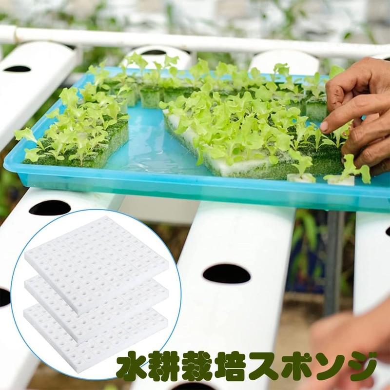 Dekori Hydroponic Growing Sponge, Vegetable Planting Sponge, Hydroponic Cultivator, 300