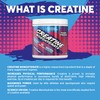 Protein Dynamix - Creatine Monohydrate Powder • Mixed Berry Flavour