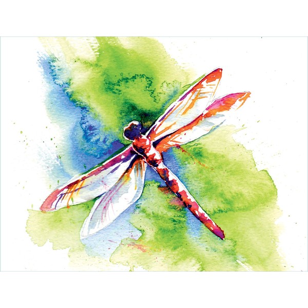 Blank Note Cards - Flying Colors Dragonfly - Boxed Set of 20 Premium Note Cards and Matching Envelopes