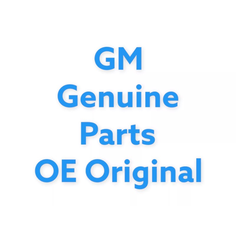 General Motors 2001-2006 GM SILVERADO TAHOE IGNITION & DOOR LOCK