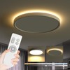 Roomratv Ceiling Light Fixture with Remote Control, Flush Mount Ceiling