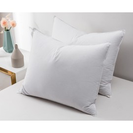 Eastwarmth Goose Down Feather Pillows Bedding Hotel Pair Pillows 100% Cotton Cover Set of Two Queen Size 20x30inch White Color