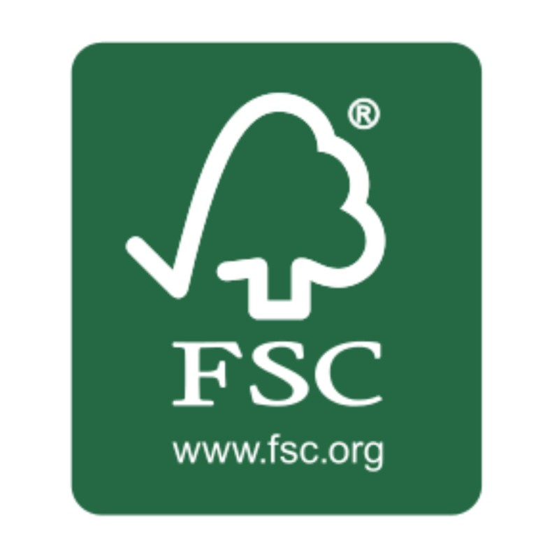 British Army (2024 Army)