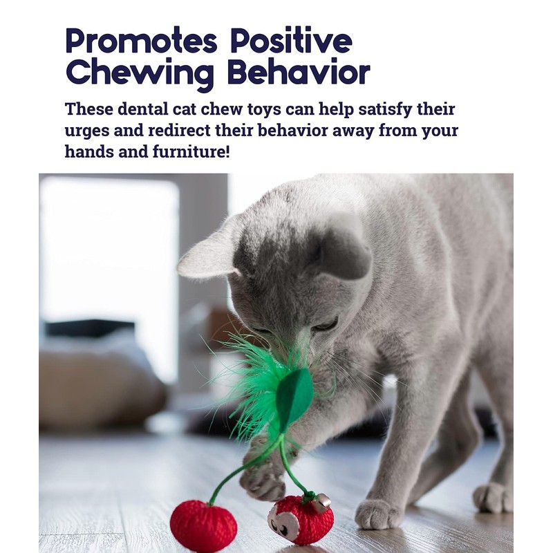 Petstages Dental Cherries Catnip Cat Chew Toy