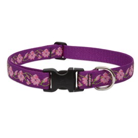 LupinePet Originals 1" Rose Garden 12-20" Adjustable Collar for Medium and Larger Dogs