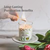 Magnificent 101 Pure Sage Energy Cleansing Aromatherapy Glass Candle for